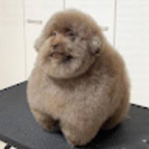 Meet your Posher, Danny